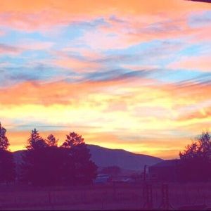 Meet your Posher, Ashleigh